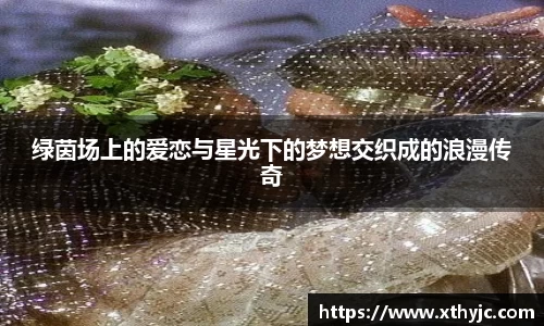 绿茵场上的爱恋与星光下的梦想交织成的浪漫传奇